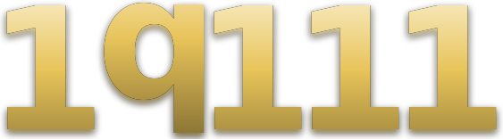 1q111 logo